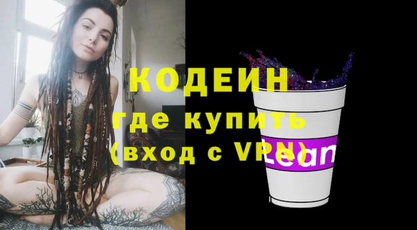 гидра Ельня