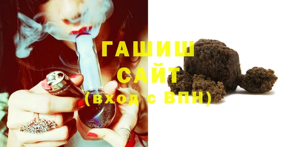 гидра Ельня