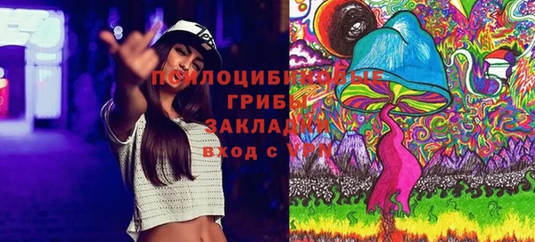 apvp Елабуга