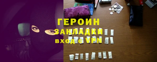 гидра Ельня