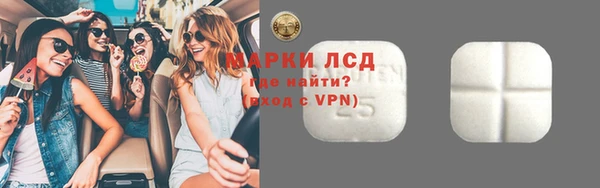 гидра Ельня
