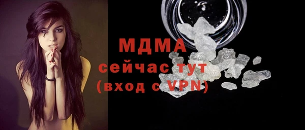 гидра Ельня