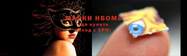 гидра Ельня