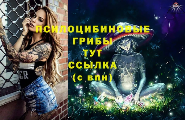 apvp Елабуга