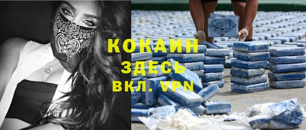 гидра Ельня