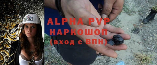 гидра Ельня