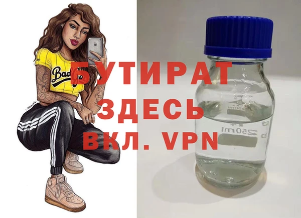 гидра Ельня